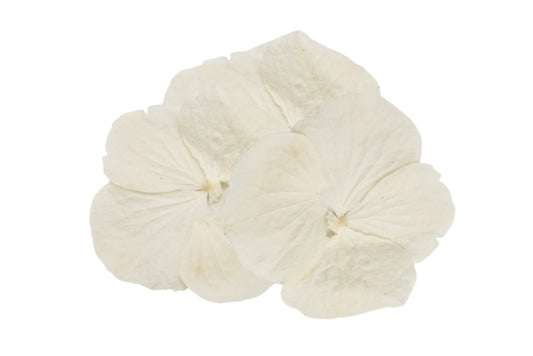 Biodegradable confetti petals