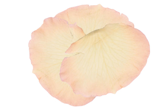 Biodegradable confetti petals